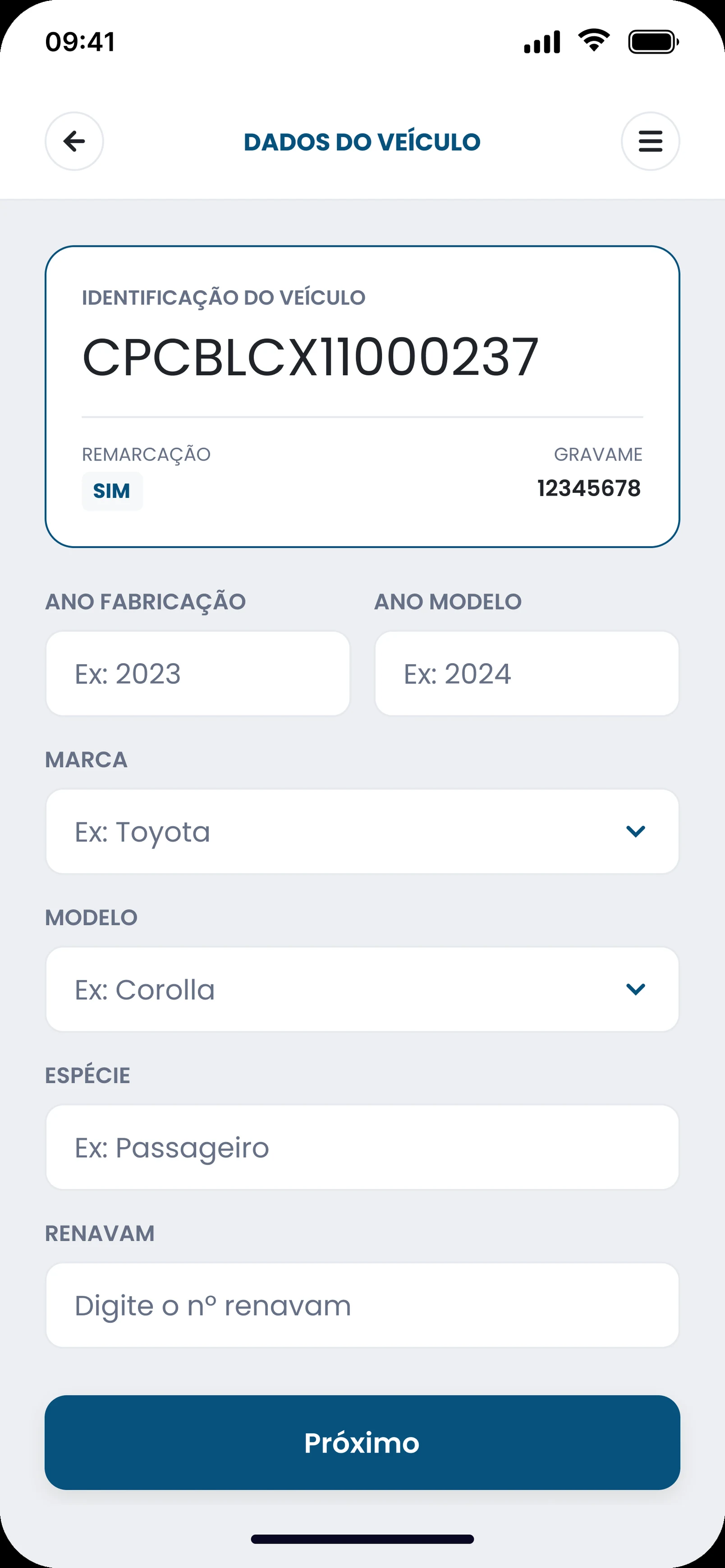 Dados do veículo: identificação do chassi, ano, marca, modelo, espécie e Renavam