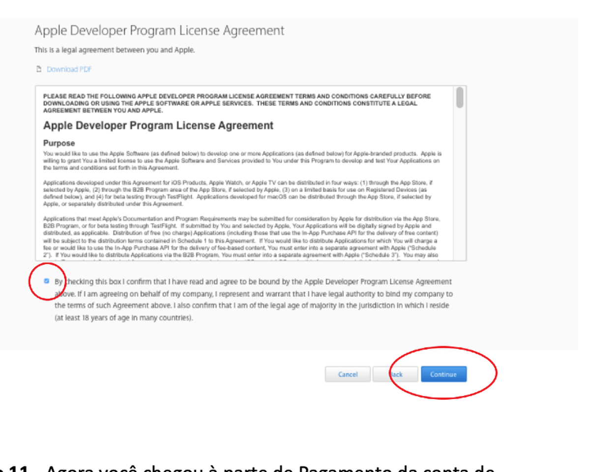 Contrato do Apple Developer Program antes da assinatura